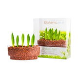 2-in-1 Bundle - Smart Holders (Advance Plants) - In Vitro / Botanicaire