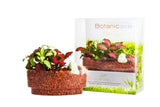 2-in-1 Bundle - Smart Holders (Advance Plants) - In Vitro / Botanicaire