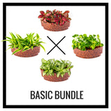 Assorted Plant Sushi Bundles - In Vitro / Botanicaire