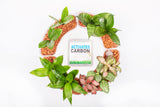 Plant Sushi Bundle Sets