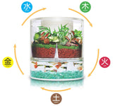 Botanicaire Air Detoxifier Fengshui Edition