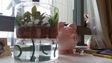 Botanicaire Advance to FS Upgrade - In Vitro / Botanicaire