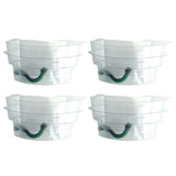 Botanicaire DIY Plant Sushi Kit (4 container sets) - In Vitro / Botanicaire