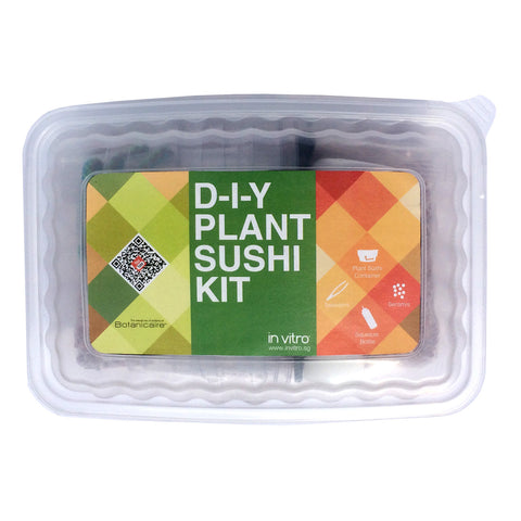 Botanicaire DIY Plant Sushi Kit (4 container sets) - In Vitro / Botanicaire