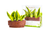 2-in-1 Bundle - Smart Holders (Premium Plants) - In Vitro / Botanicaire